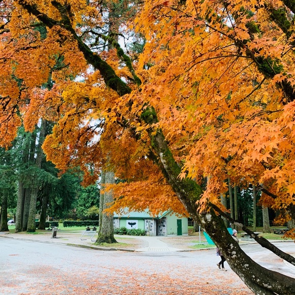 Meet your Posher, Jean - Picture 1 of 1